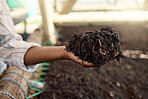 Hand of farmer holding soil with worms. Closeup of a farmer holding soil. Farmer standing in a greenhouse holding dirt. Worms in soil. Hand of a sustainable farmer holding dirt