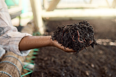 Hand of farmer holding soil with worms. Closeup of a farmer holding soil. Farmer standing in a greenhouse holding dirt. Worms in soil. Hand of a sustainable farmer holding dirt