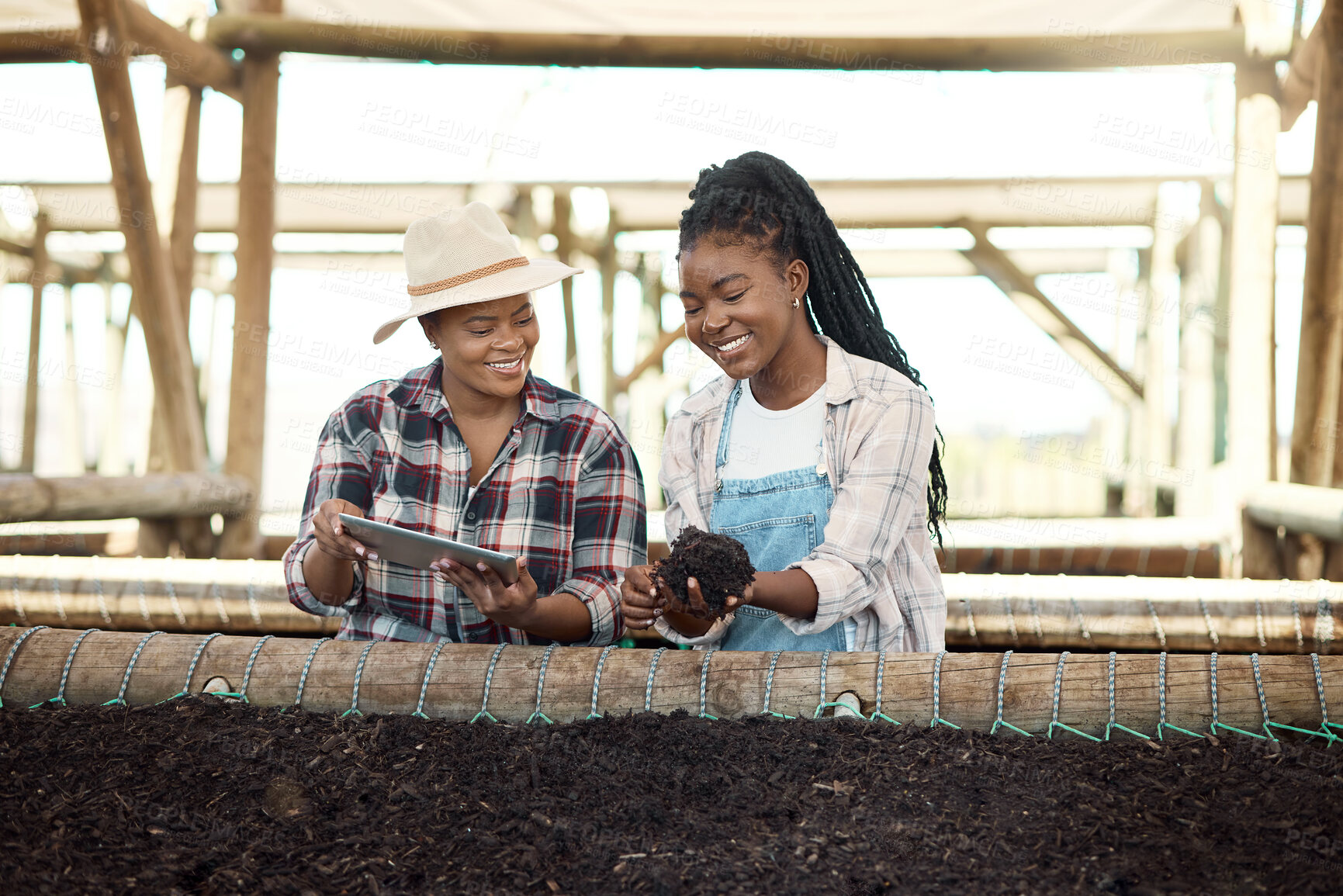 Buy stock photo Two farmers checking soil quality. African american farmer holding dirt. Two colleagues checking soil quality on a farm. Happy farmers using a digital tablet. Two women working on a farm