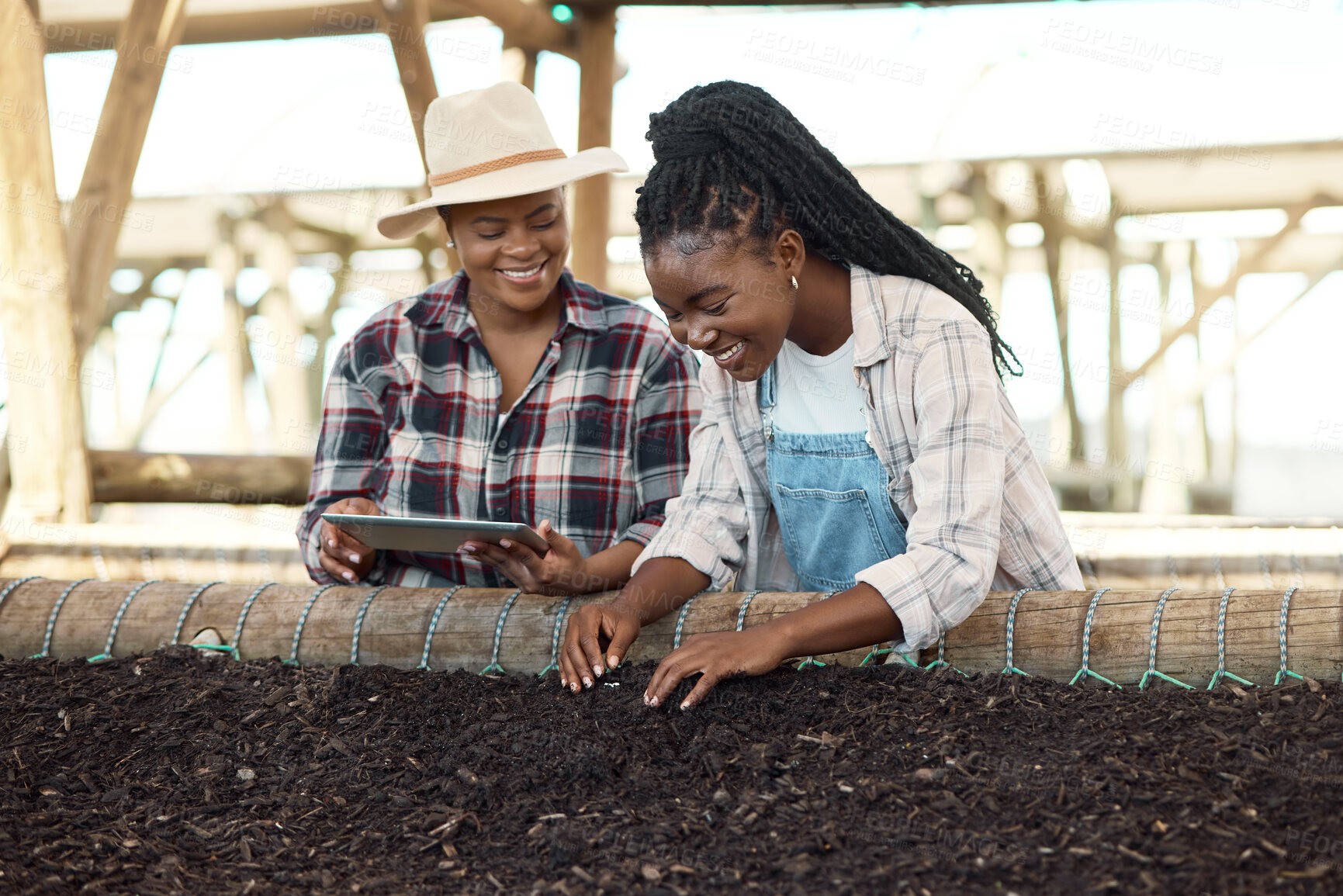 Buy stock photo Two farmers checking soil quality. Happy farmers using digital tablet to check soil quality. African american farm workers looking at a bed of dirt. Farmers using a digital device