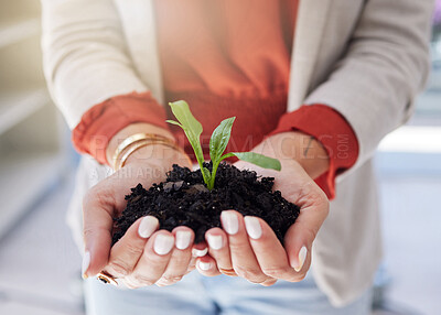 Buy stock photo Soil, plants and hands of a business person in the office for sustainability, green business or growth closeup. Earth, nature and environment with an employee holding a budding plant for conservation