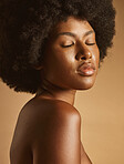 Confident African American woman with a natural afro posing against brown studio copyspace background. Young beautiful black female model looking trendy, powerful and sensual with smooth glowing skin