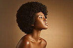 Studio shot of a young stunning African American woman with a beautiful afro. Confident black female model showing her smooth complexion and natural beauty while posing against a brown background