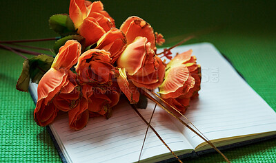 Pics of Above shot of orange flowers on an open notepad. Nature can inspire us to write and spark our creativity. Get productive and motivated in a creative environment. Write down dreams, plans and goals, stock photo, images and stock photography PeopleI