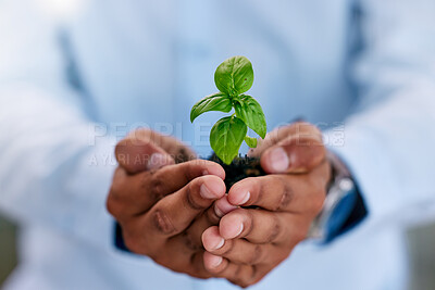 Buy stock photo Unrecognizable businessperson standing and holding a plant growing out of dirt in the palm of their hand at work. Unrecognizable person growing and taking care of a plant in soil 