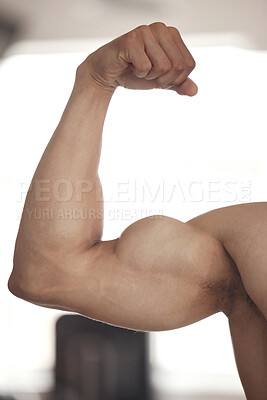 Buy stock photo Closeup of one fit mixed race man flexing his biceps to show big strong muscles from regular exercise in a gym. Bodybuilder with toned arms and sexy physique. Athlete proud of physical progress and powerful form