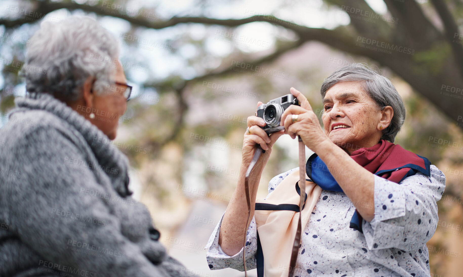 Buy stock photo Camera, senior women and photography in nature, memories and having fun in outdoors or garden. Elderly people, friendship and picture on vacation, holiday and relaxing together at park in retirement 