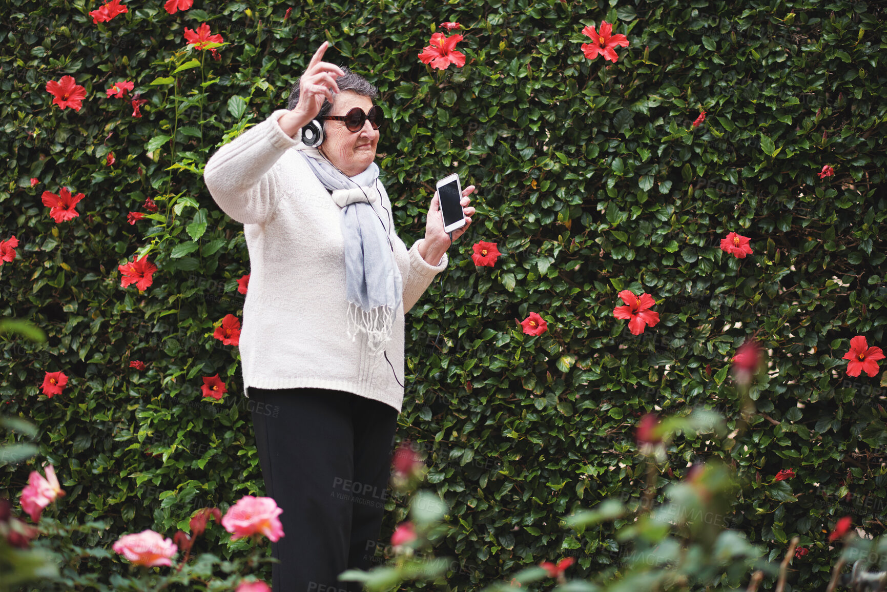 Buy stock photo Senior woman, headphones and dancing in outdoors, smartphone and streaming radio or playlist. Elderly person, flower wall and rock or pop music in retirement, garden and freedom or connection to tech