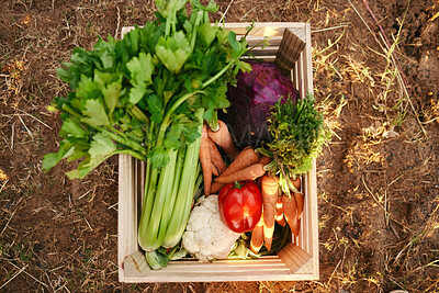 Buy stock photo A flatlay of freshly harvested vegetables in a wooden box. A basket of various vegetables produced on a farm
