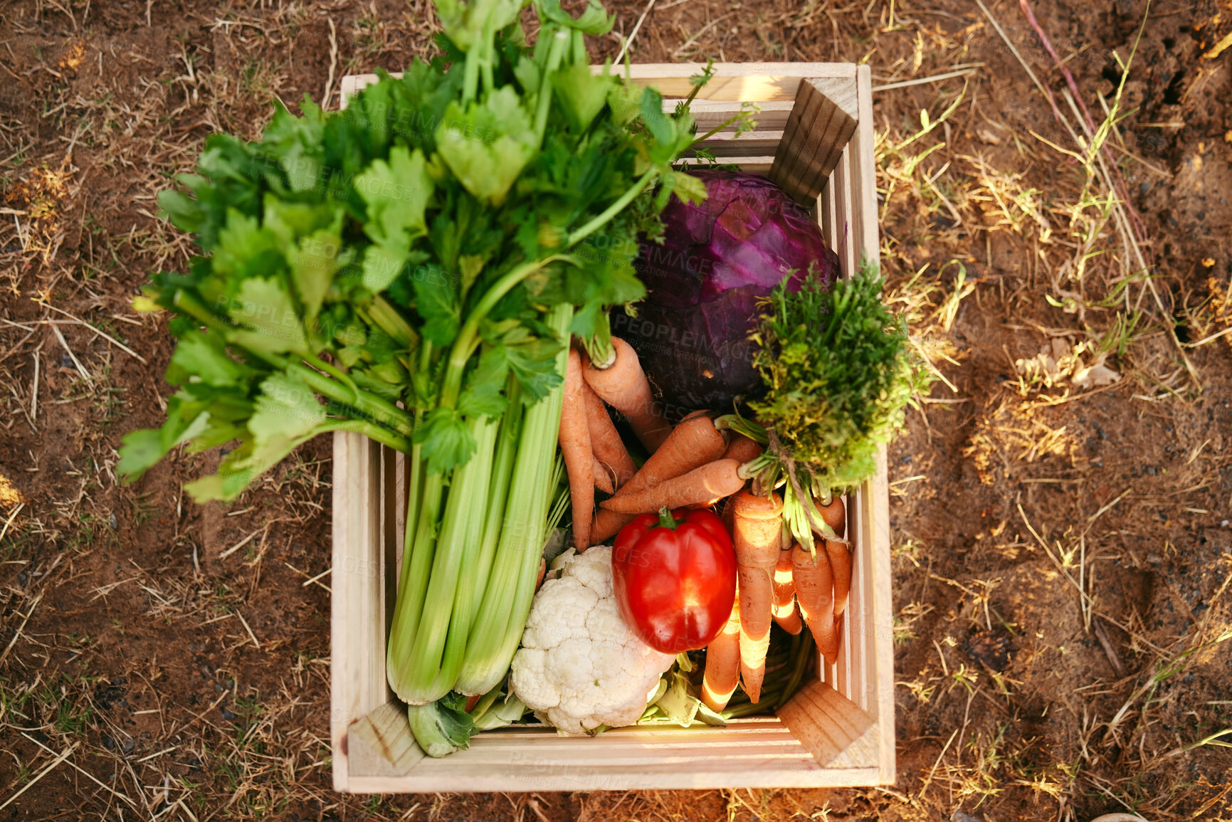 Buy stock photo A flatlay of freshly harvested vegetables in a wooden box. A basket of various vegetables produced on a farm