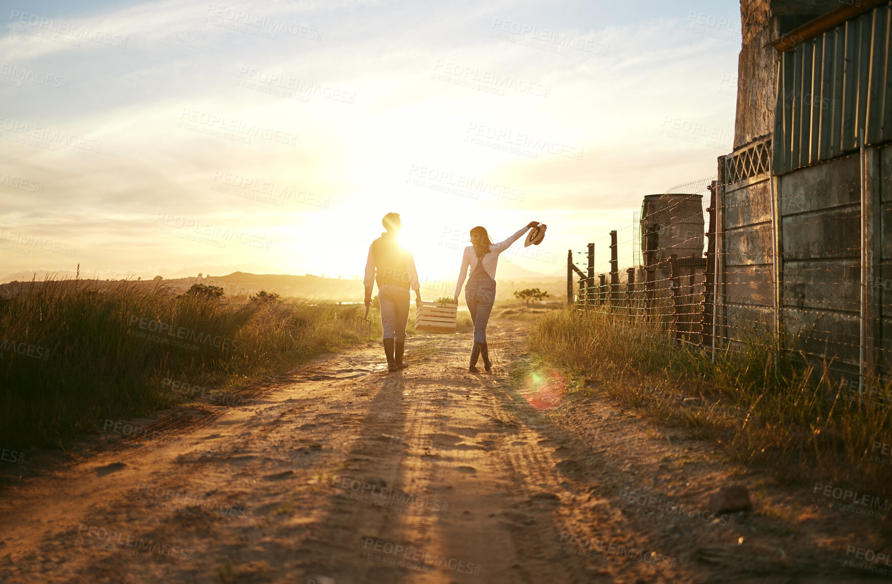 Buy stock photo Two farmers carrying a basket of fresh produce and walking against a sunset background. Unrecognisable woman celebrating successful harvest on a farm with male colleague