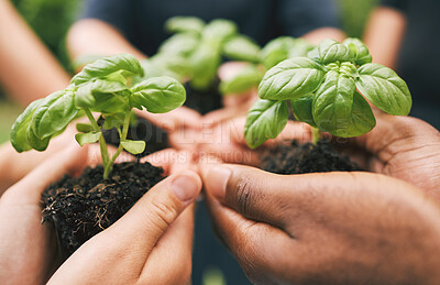 Closeup of hands holding plants outside in nature on a bright sunny day. A group of multiethnic hands holding soil with plants as a concept of caring about the environment