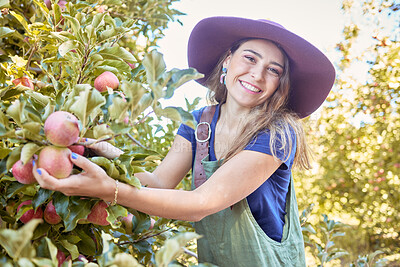 Portrait of one happy woman picking fresh red apples from trees on sustainable orchard farmland outside on sunny day. Cheerful farmer harvesting juicy nutritious organic fruit in season to eat