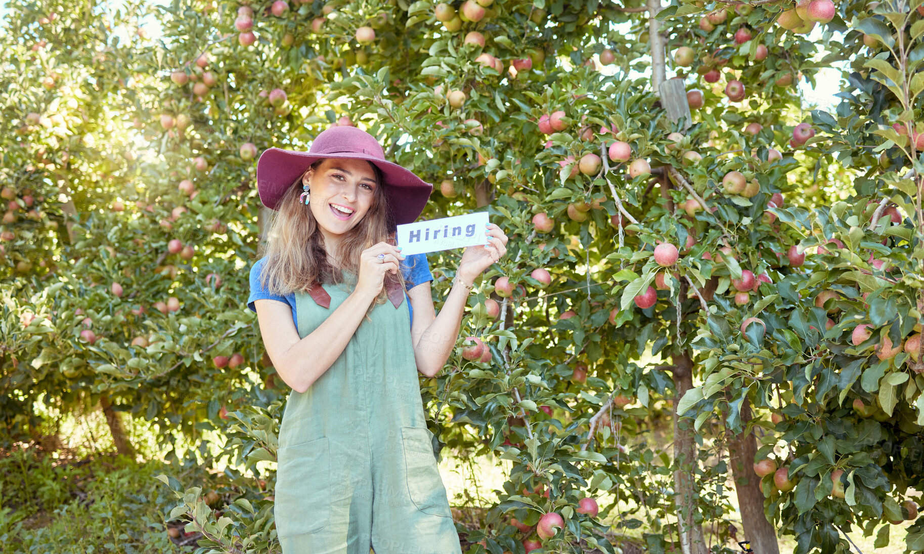 Buy stock photo Female farmer recruiting workers to help with her startup. Happy young woman holding a hiring sign on a farm close to apple orchards. Farm labor shortage, agriculture job market and employment