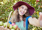 Portrait of one happy woman taking selfies while holding basket of fresh picked apples on sustainable orchard farm outside on sunny day. Cheerful farmer harvesting juicy organic fruit in season to eat
