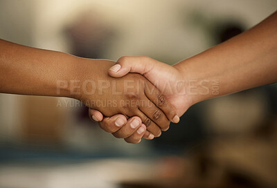 Closeup hands in handshake showing meeting, success and team support. Manager welcoming, promoting or agreeing with colleague in hand gesture. Two people symbolizing unity, power or strength together