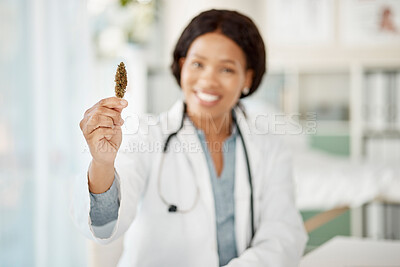 Buy stock photo Happy woman doctor with medicinal marijuana or cannabis plant in hand in a healthcare hospital for natural and organic medicine use. Innovation, natural and sustainable work with cbd or weed research
