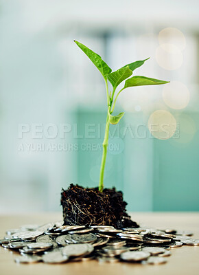 Buy stock photo Investment and development in environment benefit eco friendly market and businesses. Coins and green plant show money growth, financial sustainability and future savings in finance sector or economy