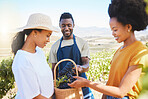 Farm workers on wine estate holding fresh grapes or fruit produce in vineyard together in summer. Happy farmers smiling and check crops to examine them after harvest on a field in nature