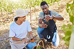 Agriculture, farmer and wine manufacturing plant or vineyard workers doing quality checklist on their fruit. Sustainability, growth and winery friends working in nature countryside farm 