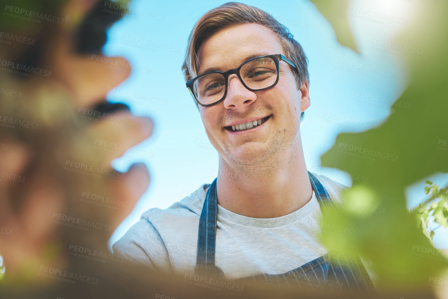 Buy stock photo Vineyard, happy and farmer man picking grapes from plant with smile at a farm in summer. Nature, health and fruit of businessman in natural agriculture growth success working in the countryside.