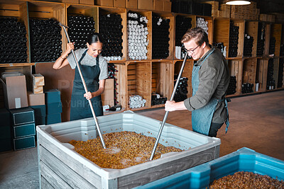 Buy stock photo Crushing grapes for wine manufacturing in a cellar, winery and distillery. Industry employees, vintners and workers with press tool in a tank to mix large crate for fermentation process in production