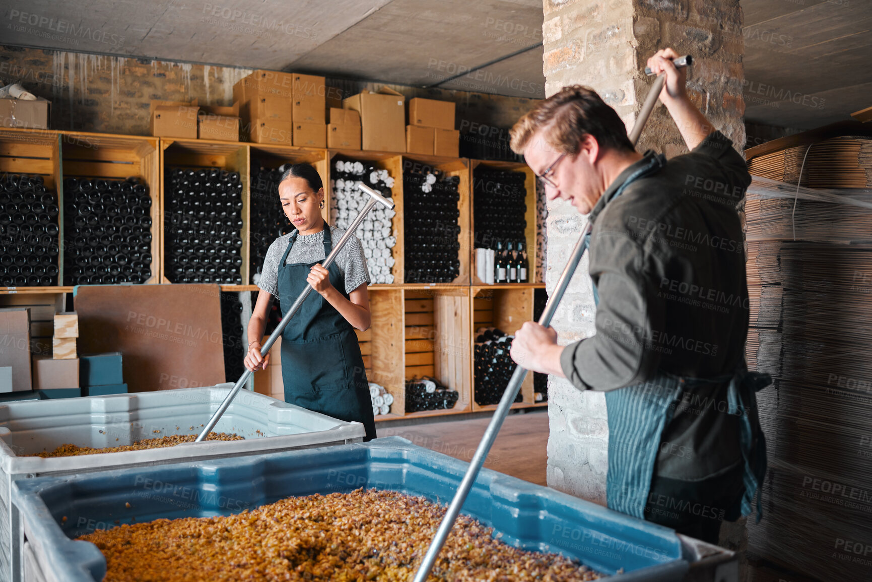 Buy stock photo Wine, vineyard and workers mixing fruit in a winery, warehouse or distillery with equipment at work. Woman and man winemaker or people pressing juice of grapes for alcohol industry.