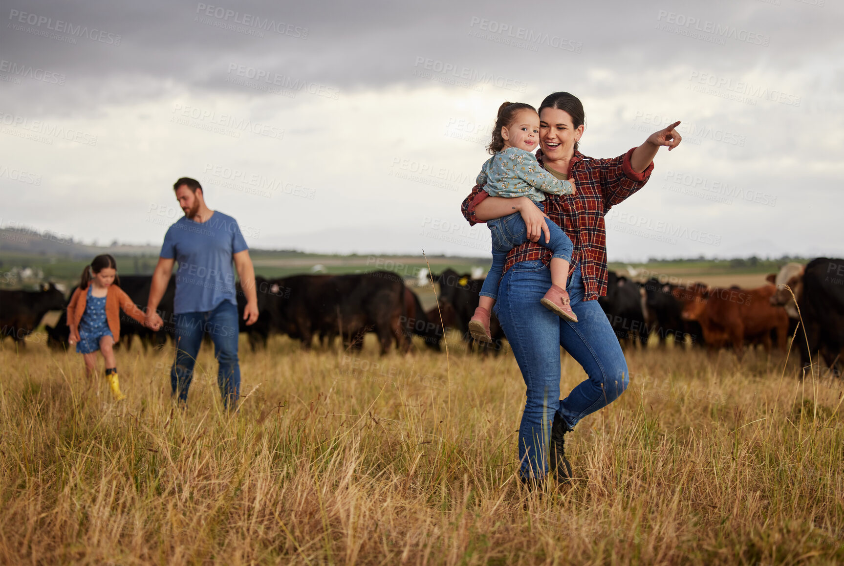 Buy stock photo Happy family bonding on a cattle farm, walking and looking at animals, relaxing outdoors together. Young parents showing child girls how to care for livestock and having fun on exploring nature walk