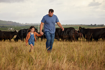 Buy stock photo Farmer father, child or family with cows on a farm, grass field or countryside. Sustainability or environmental dad and girl with cattle in background for meat, beef or agriculture growth industry