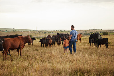 Buy stock photo Farm, sustainability and agriculture in countryside with father bonding with girl on cattle farm. Parent showing daughter livestock and having fun. Talking, walking and enjoying family time in nature