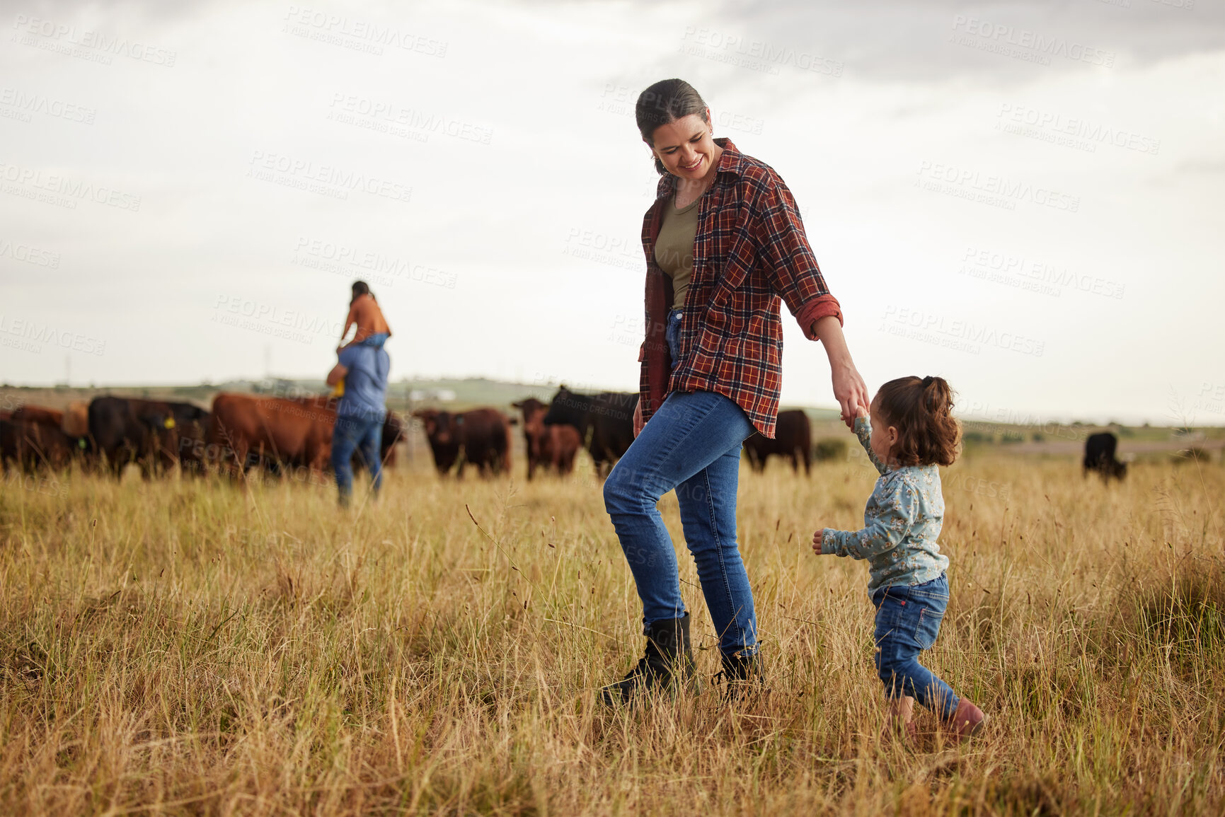 Buy stock photo Sustainable farming family, cows on agriculture farm with rustic, countryside or nature grass background. Farmer mother, dad and kids with cattle or livestock animals for dairy, beef or meat industry