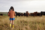 Little girl learning agriculture or farming on a livestock or cattle farm and exploring nature outdoors. Back view of carefree child or kid watching cows or farmland animals enjoying the countryside
