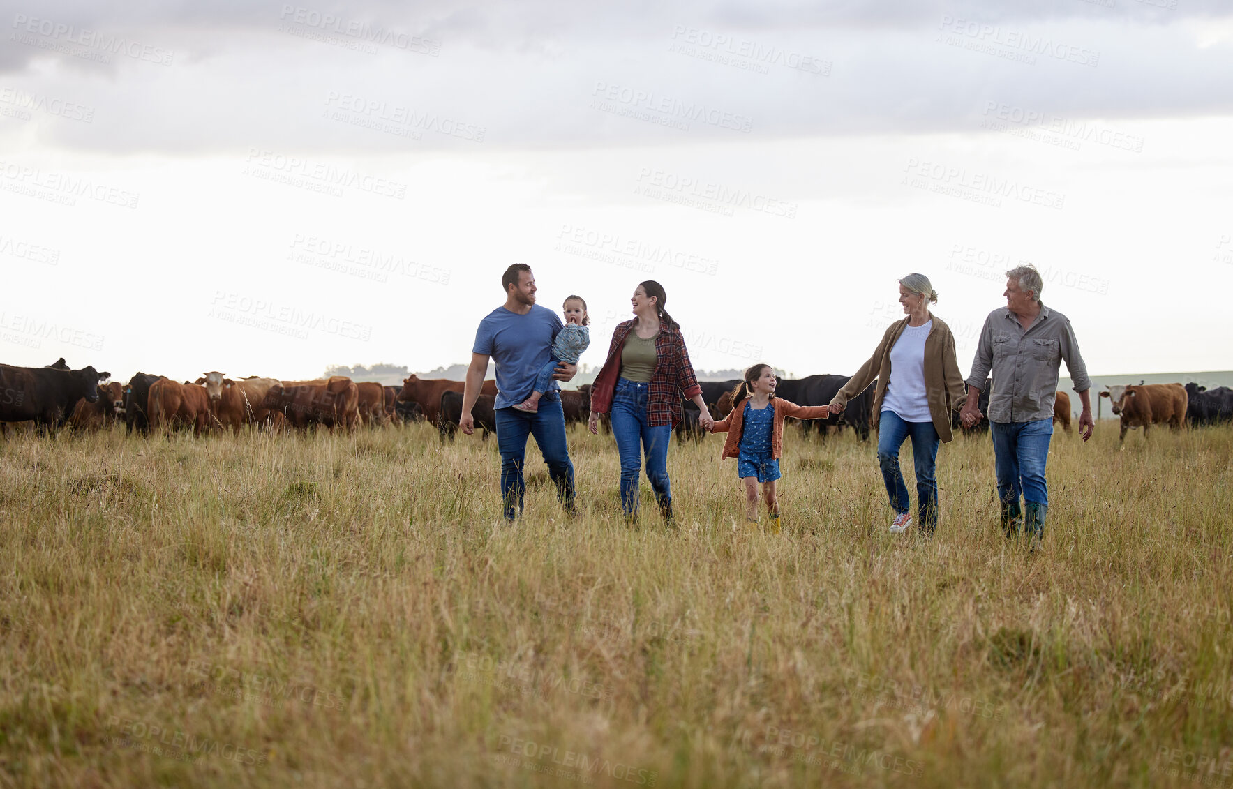 Buy stock photo Farming, sustainability and family community on a farm walking together with cows in the background. Happy agriculture countryside group relax holding hands in a green sustainable field in nature