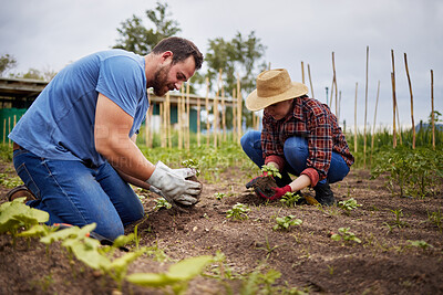 Buy stock photo Couple planting, environment growth and countryside farmer with accountability on agriculture farm, sustainability field or nature. Man, woman or garden mindset worker with green plants in earth soil