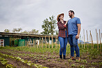 Farmer couple happy about growing vegetable crops or plants in their organic or sustainable farm or garden. Affectionate nature activists enjoying the outdoors and having fun together 