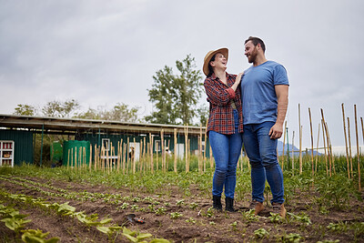 Buy stock photo Farmer couple happy about growing vegetable crops or plants in their organic or sustainable farm or garden. Affectionate nature activists enjoying the outdoors and having fun together 
