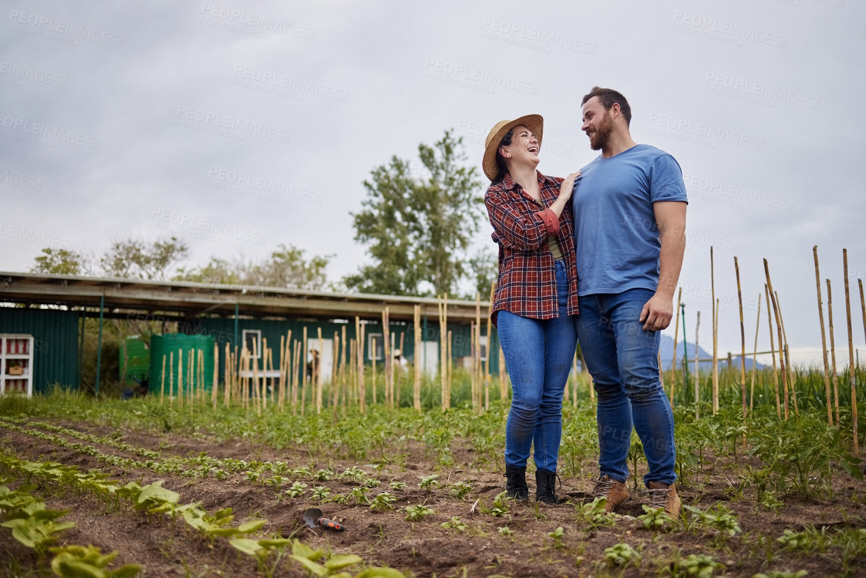 Buy stock photo Farmer couple happy about growing vegetable crops or plants in their organic or sustainable farm or garden. Affectionate nature activists enjoying the outdoors and having fun together 