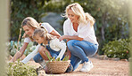 Garden, family and nature with mother and child relax in outdoors farm field in the summer together. Mom, girl and grandmother happy with sustainability, farmer and plant harvest with bonding time