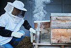Bees, woman and smoke for honey, agriculture production and eco sustainability process in environment. Beekeeper in suit smoking insects in honeycomb box, container and frame for sustainable farming