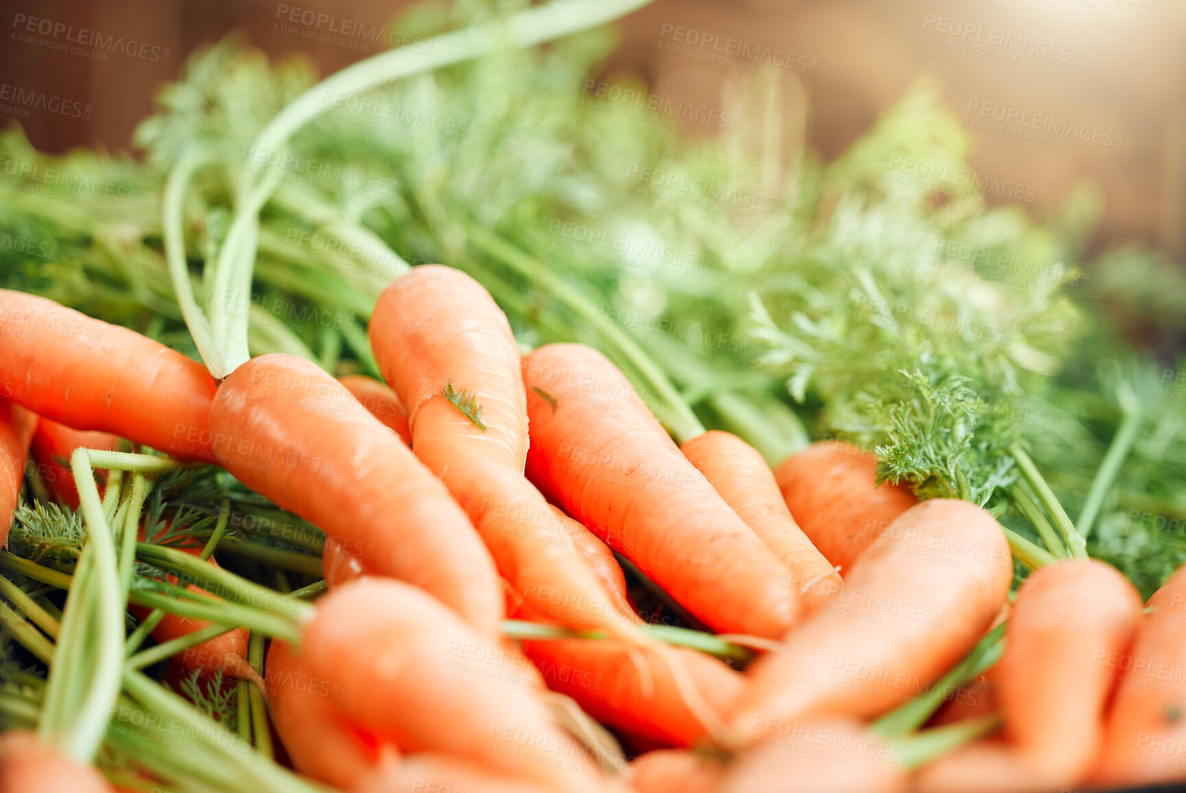 Buy stock photo Background of carrot, healthy food and vegetables from nature, agriculture and sustainability garden at farmer market. Nutrition, fresh diet and growth of ripe and organic natural harvest for cooking