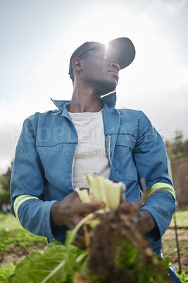 Buy stock photo Sustainability farmer, spinach agriculture farm and countryside worker harvesting healthy green plant leaf. Thinking or working gardening man with growth mindset for environment on nature field