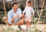 Family, tomato garden or girl with father in learning or child education for food growth, sustainability or environment agriculture. Smile, happy or bonding kid with man farming vegetable for harvest