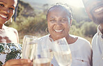 Black family with a glass of wine in nature giving a toast to celebrate in the countryside. Portrait of happy African people drinking luxury champagne at a party event on a sustainable farm together.