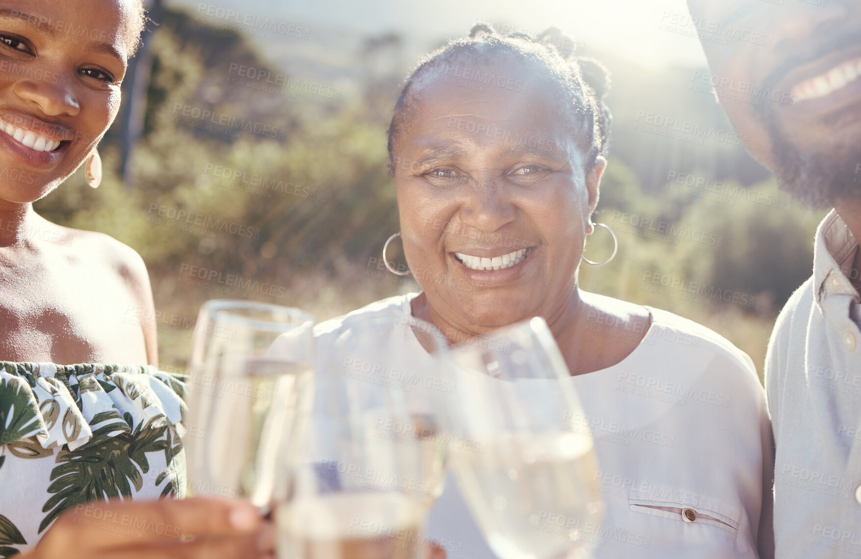 Buy stock photo Black family with a glass of wine in nature giving a toast to celebrate in the countryside. Portrait of happy African people drinking luxury champagne at a party event on a sustainable farm together.