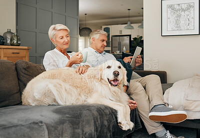Buy stock photo Retirement, couple and dog in living room relax, calm and talk at home together on sofa. Man, woman and pet sitting on couch smile, reading tablet news or online shopping and drink coffee in lounge.