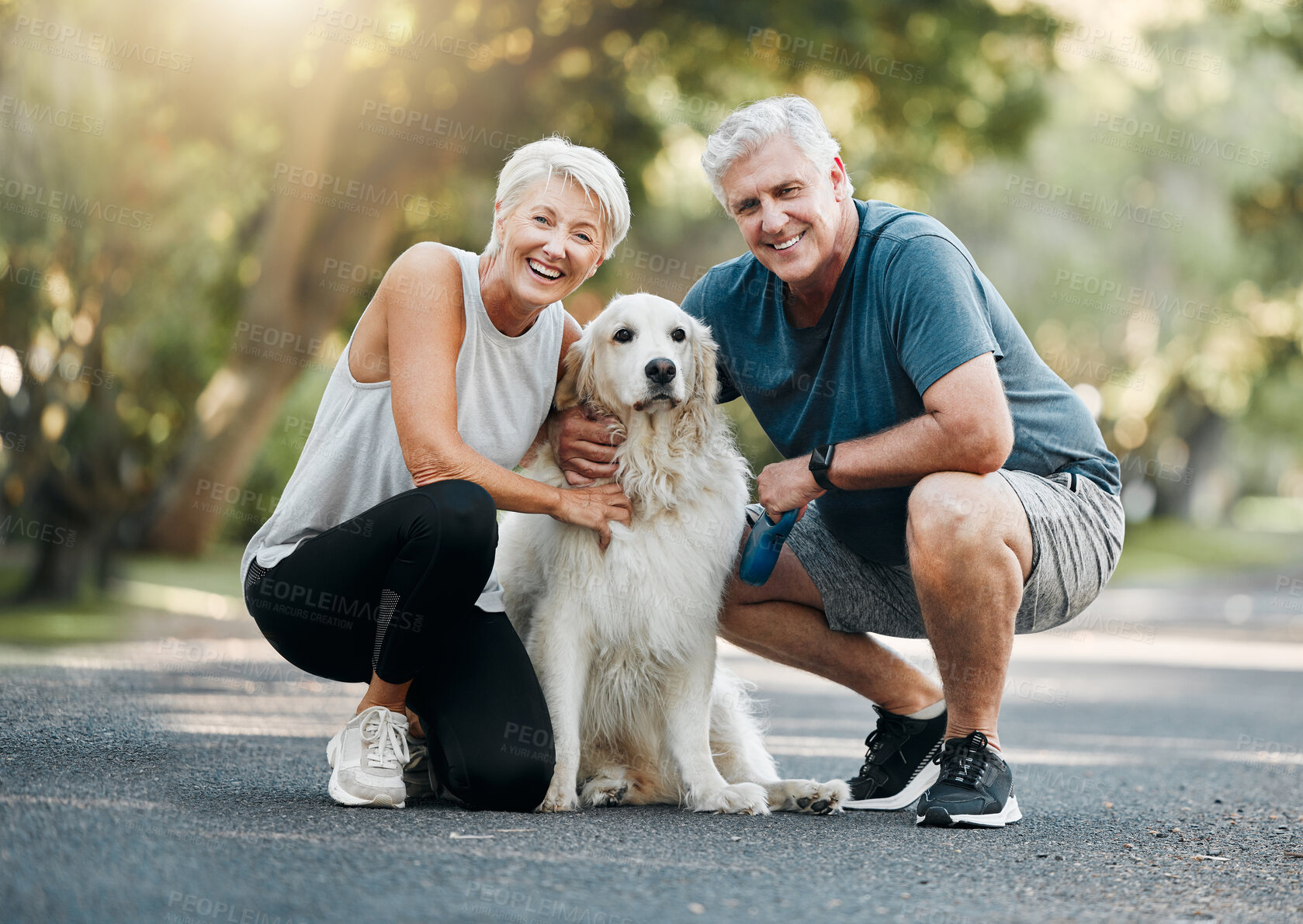 Buy stock photo Happy senior couple, walking dog in nature park and smile bonding with their golden retriever together. Healthy living in retirement, being physically active by exercising and relaxing time with pet 