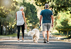 Senior couple, dog walk and nature park road during exercise, walking and leisure during a stroll through the woods. Old man and woman being active for energy and living healthy with a pet outside 