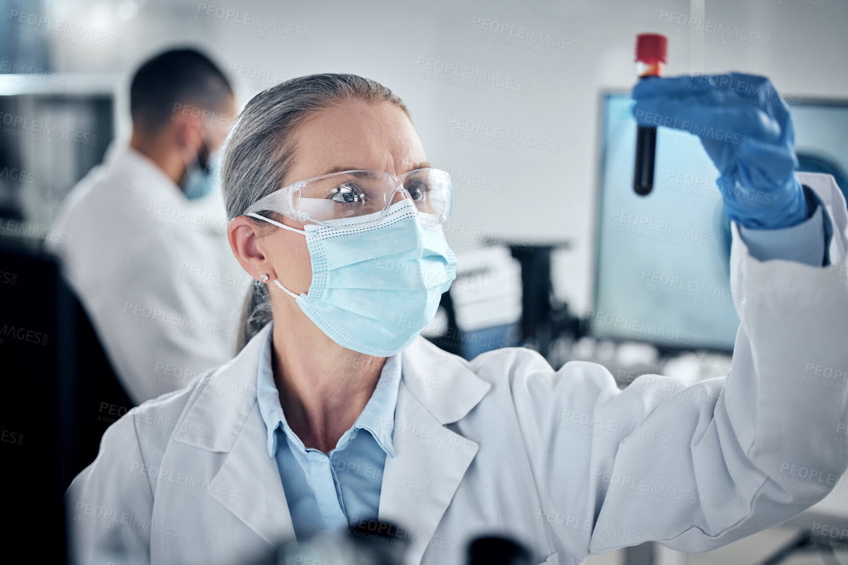Buy stock photo Blood test, lab research and scientist working on healthcare science development with face mask for security. Mature medical worker doing analysis on chemical liquid for future medicine in hospital 