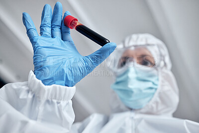 Buy stock photo Doctor, hands and blood tube for covid test or science research, experiment or results at the laboratory. Scientist hand holding DNA sample to cure illness, diseases or corona virus for forensic lab