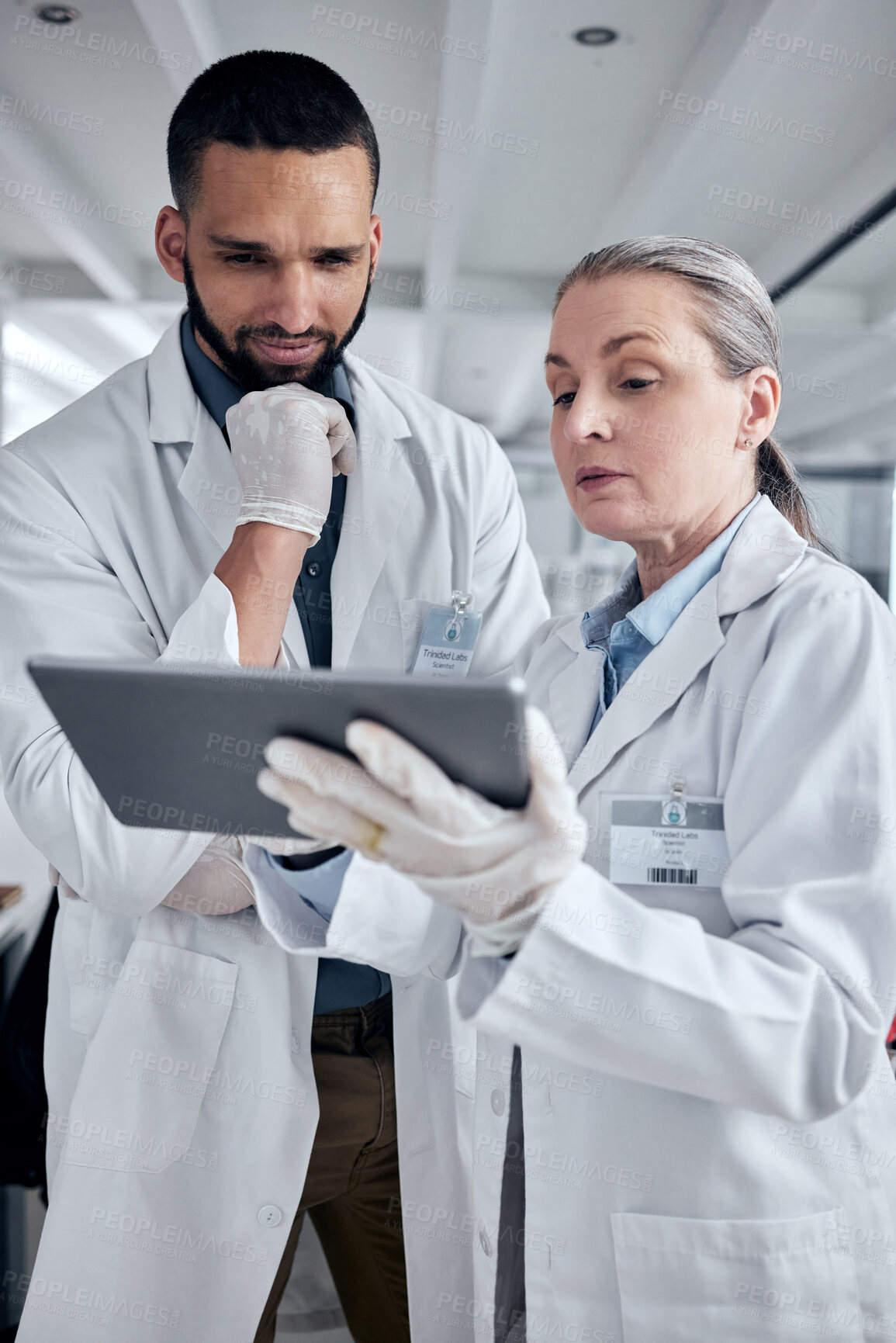 Buy stock photo Tablet, science and research with a man and woman scientist working on the internet in their laboratory. Innovation, technology and analytics with a medicine team at work in collaboration in the lab